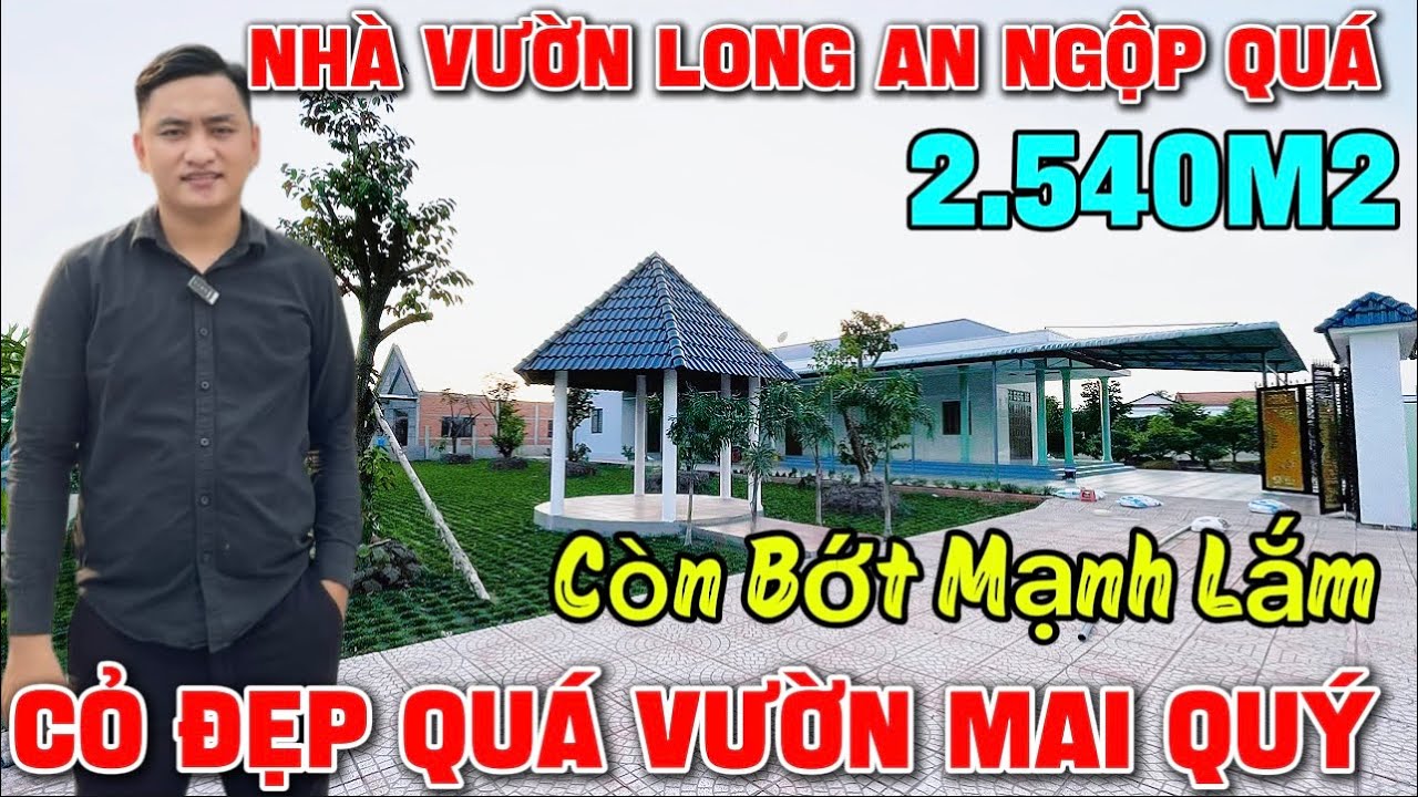 Tập 233 NHÀ VƯỜN LONG AN NGỘP GIÁ RẺ 2.540m2 Vườn Mai Quý Rộng Rãi Quá Trời ✅