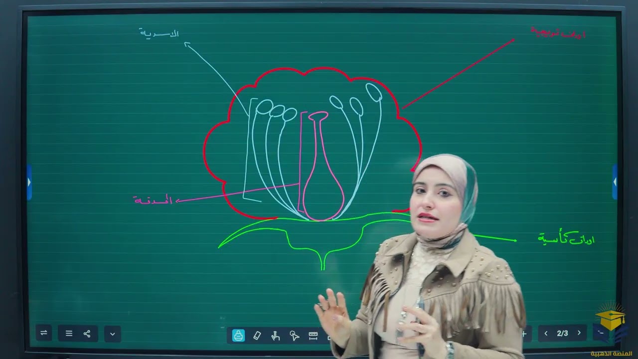 النباتات الزهرية /الفصل الثالث /المحاضرة15/احياء السادس الاعدادي /أ. رنين ادريس الطائي 