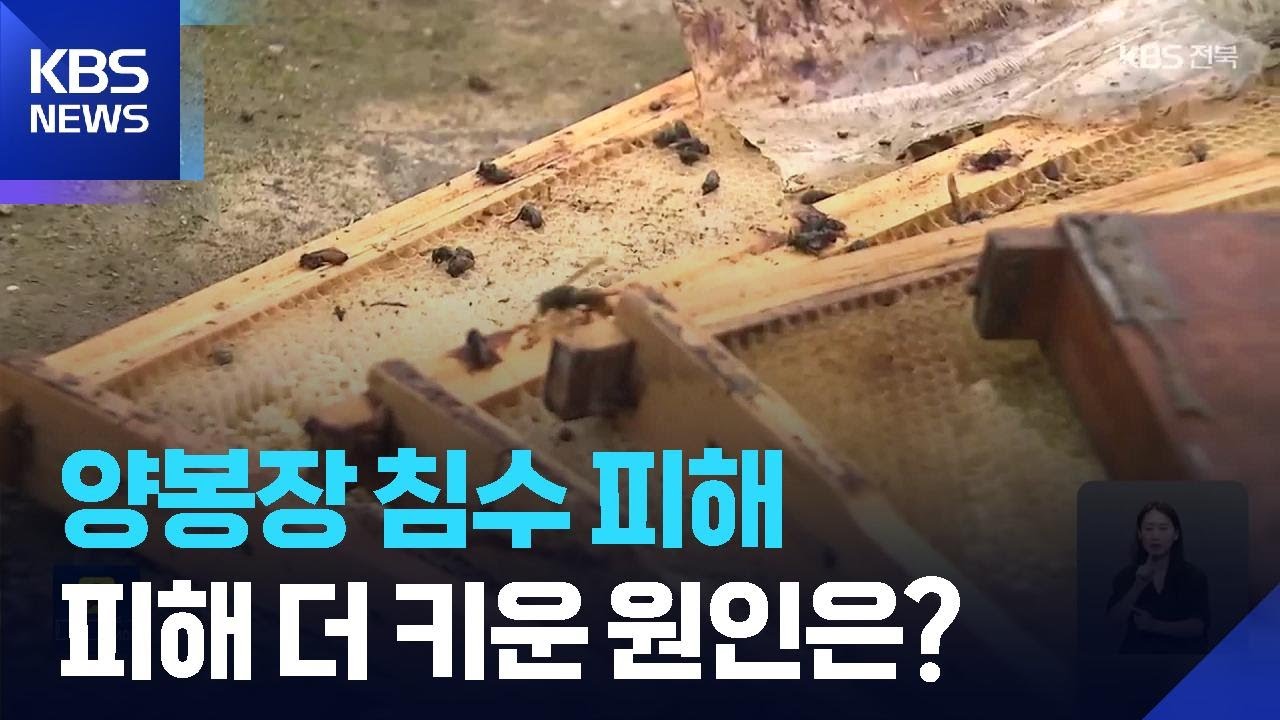 집중 호우 때 양봉장 침수&hellip;피해 더 키운 원인은? / KBS  2025.09.22.