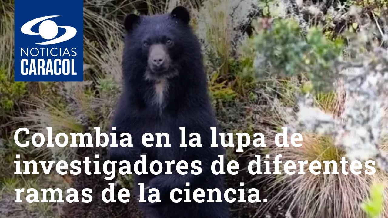 Colombia, hábitat de cientos de especies endémicas