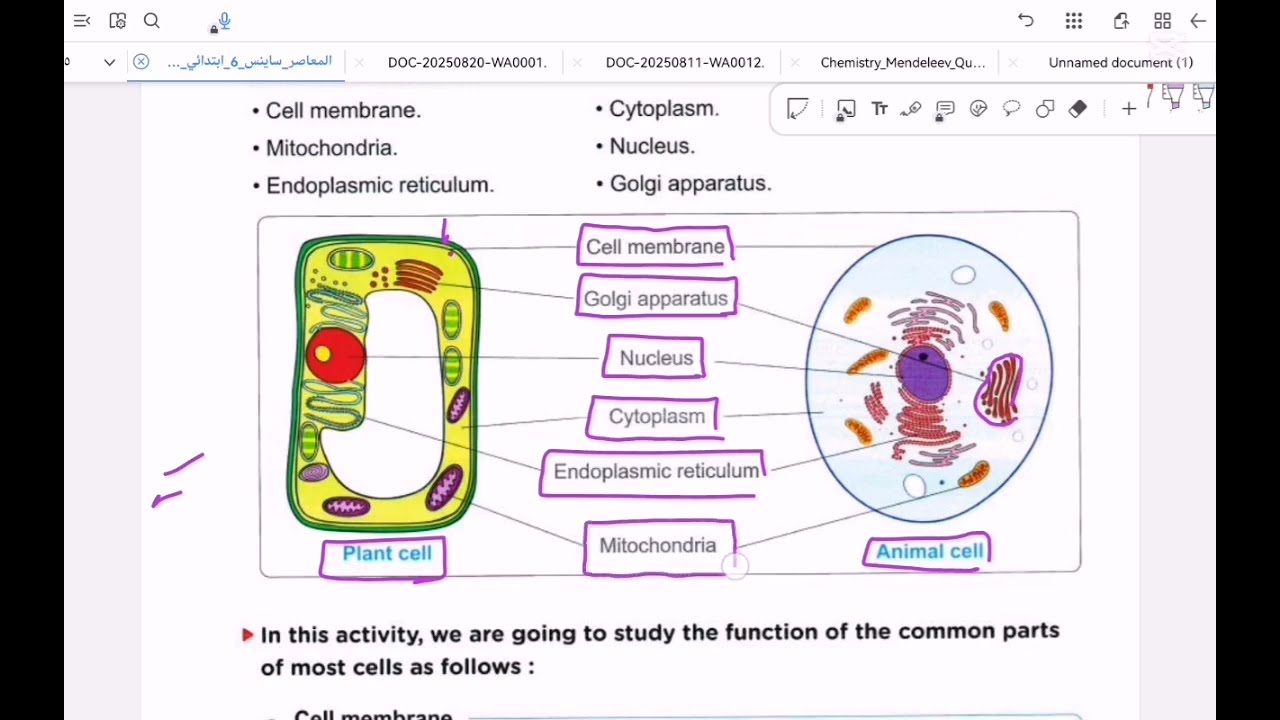 Science primary 6.                    Lesson 3.  Parts of cell