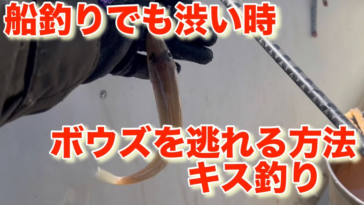 船釣りでも渋い時のキス釣り攻略法！