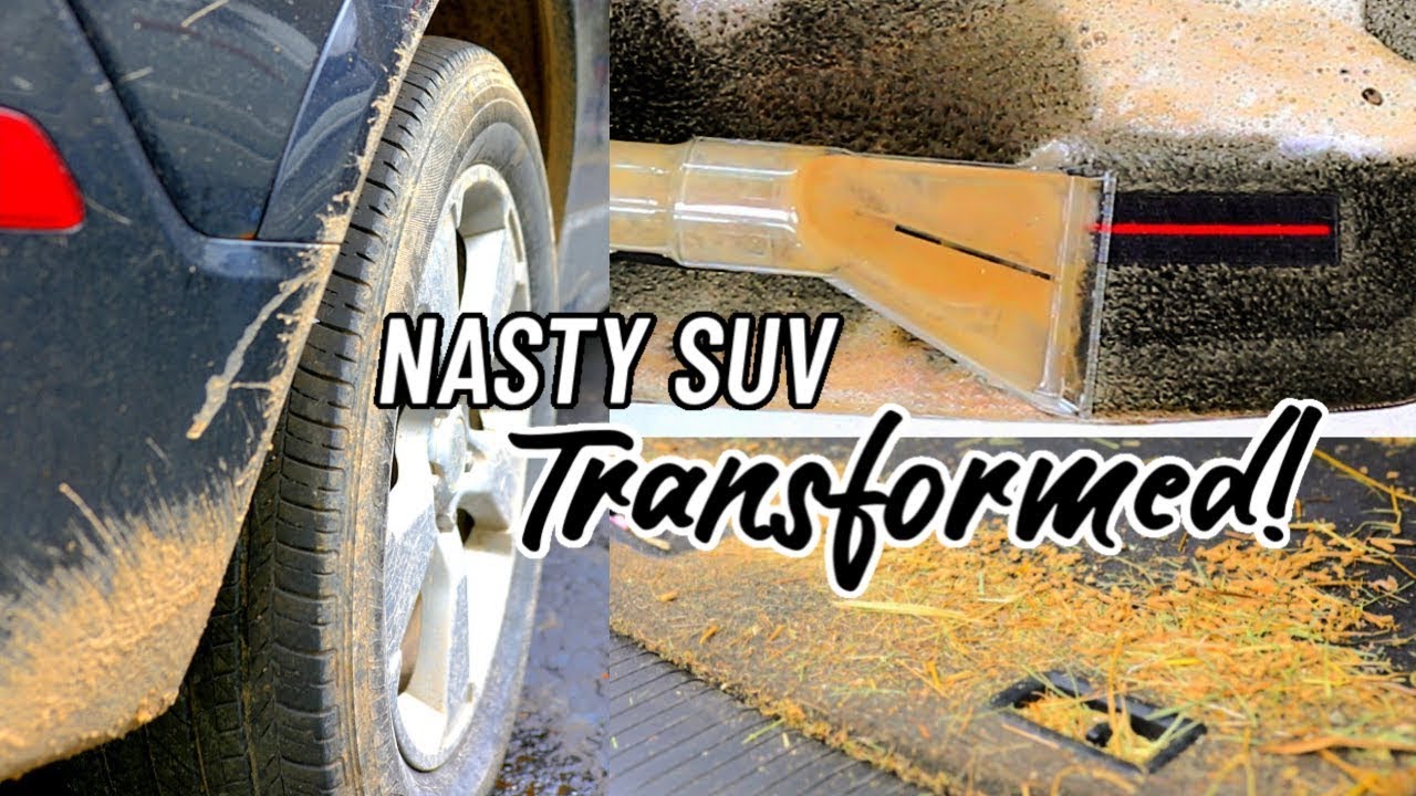deep cleaning a really dirty car Horse hauler