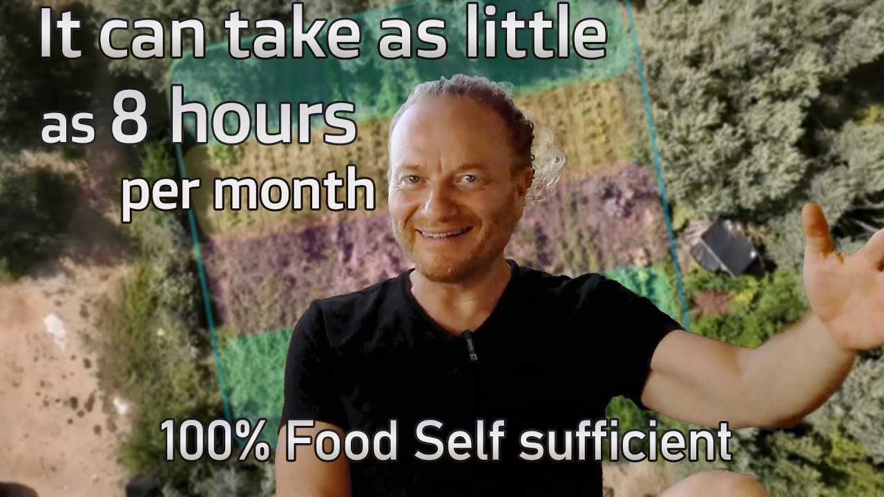 FollowUp with Alik Pelman (how to become food self sufficient on just 750m²)