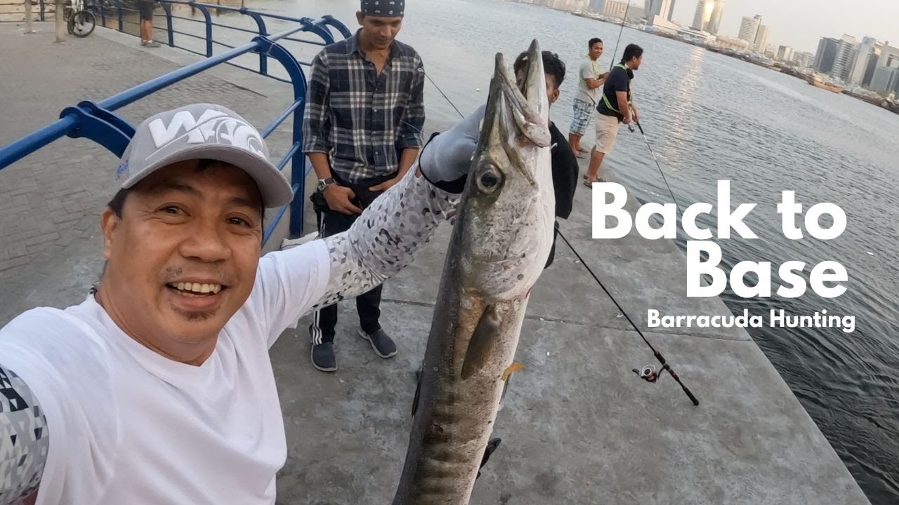 Back to Base: Barracuda Hunting at Maktoum Bridge