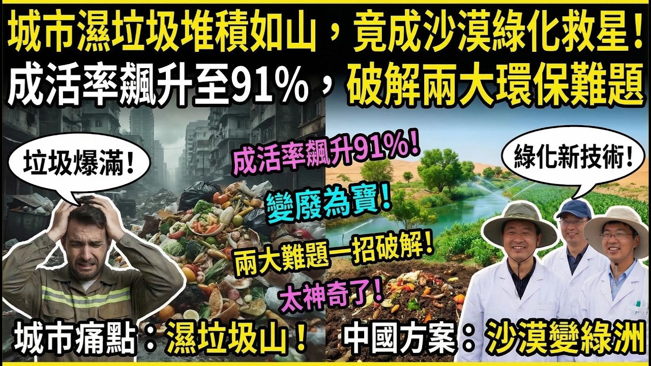 年耗9萬噸濕垃圾，改良1.2萬畝沙地！這項中國技術，為全球治沙提供新方案