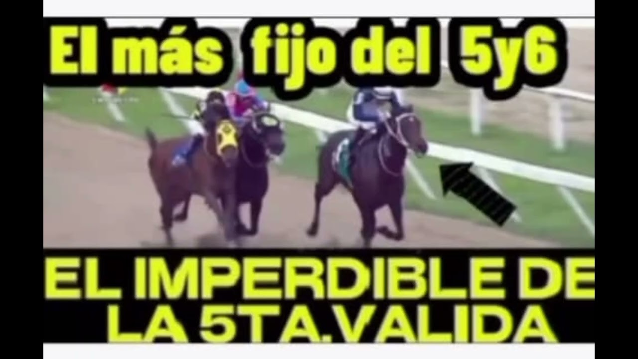 Última Hora La Linea Del (5y6)Fijos Marcas Acumulados 08 Febrero
