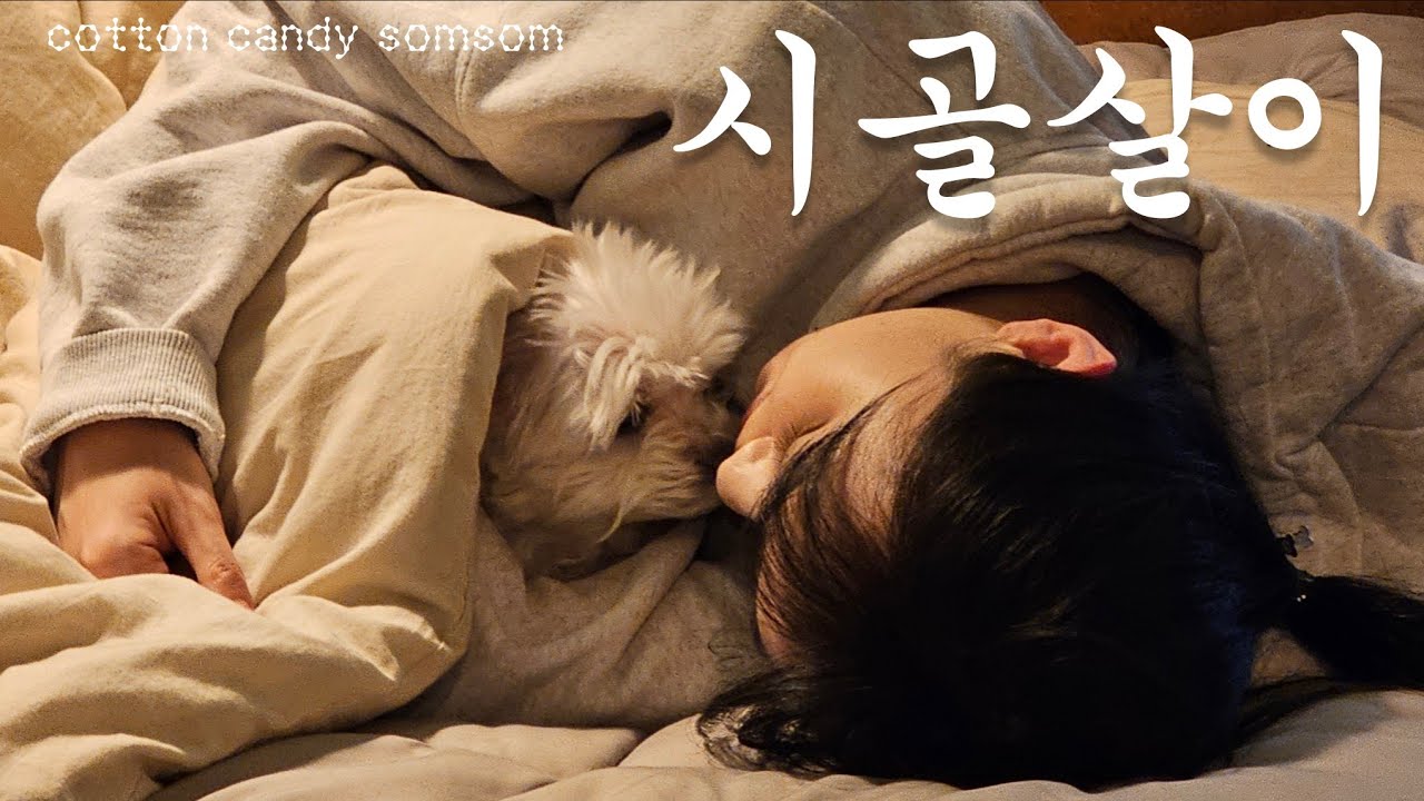 🏠7촌 임박🏡 