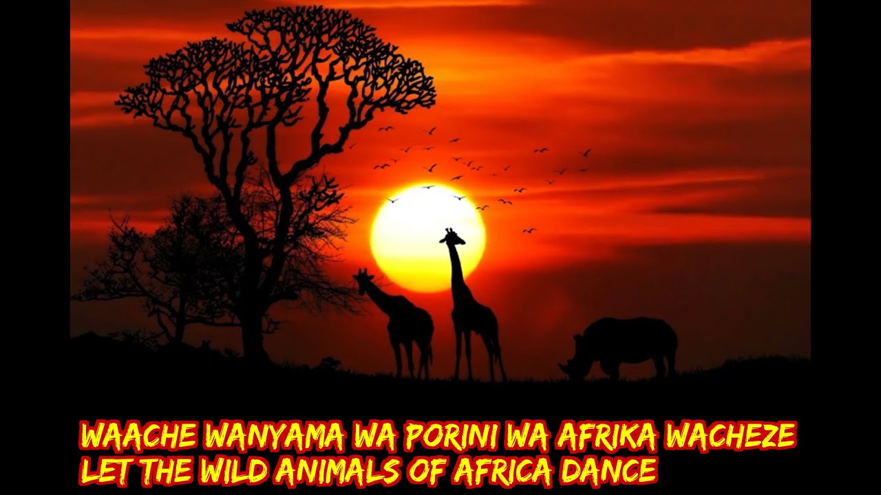 Let the wild animals of Africa dance/wanyama wa porini wa Afrika wacheze