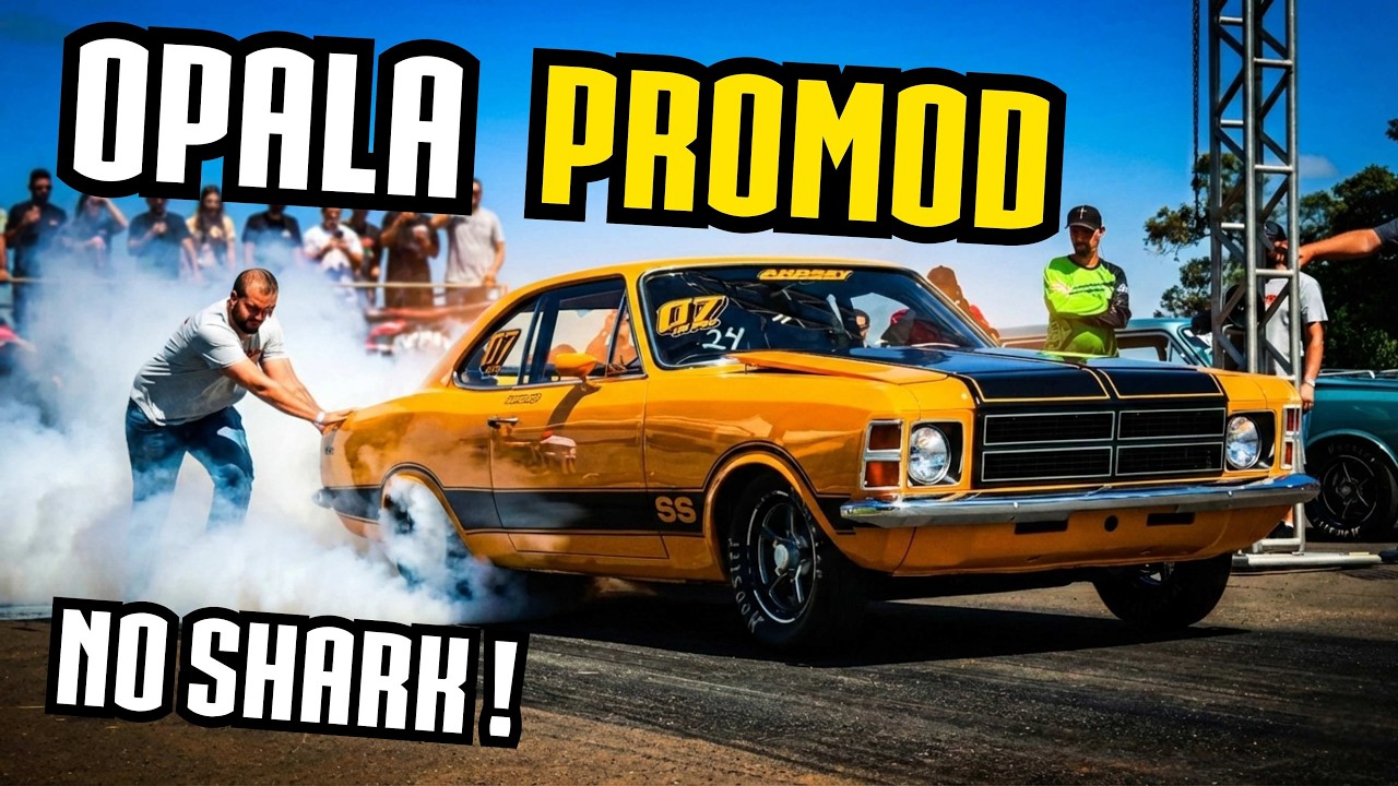 CONHEÇA O OPALA PROMOD DO DIEGO NASCIMENTO!