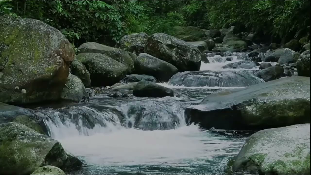 Relaxing River Sounds for Deep Sleep 🌊 Peaceful Nature Water Ambience (1 Hour)