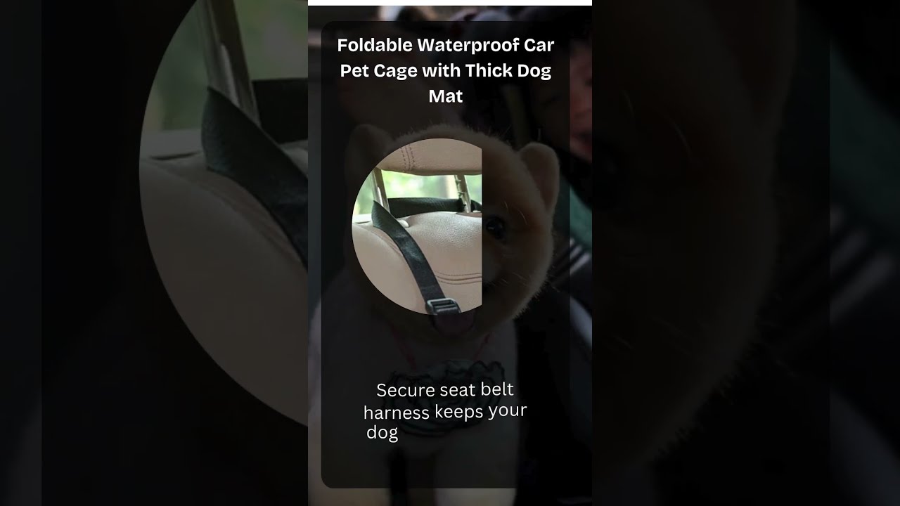 Foldable Waterproof Car Pet Cage with Thick Dog Mat