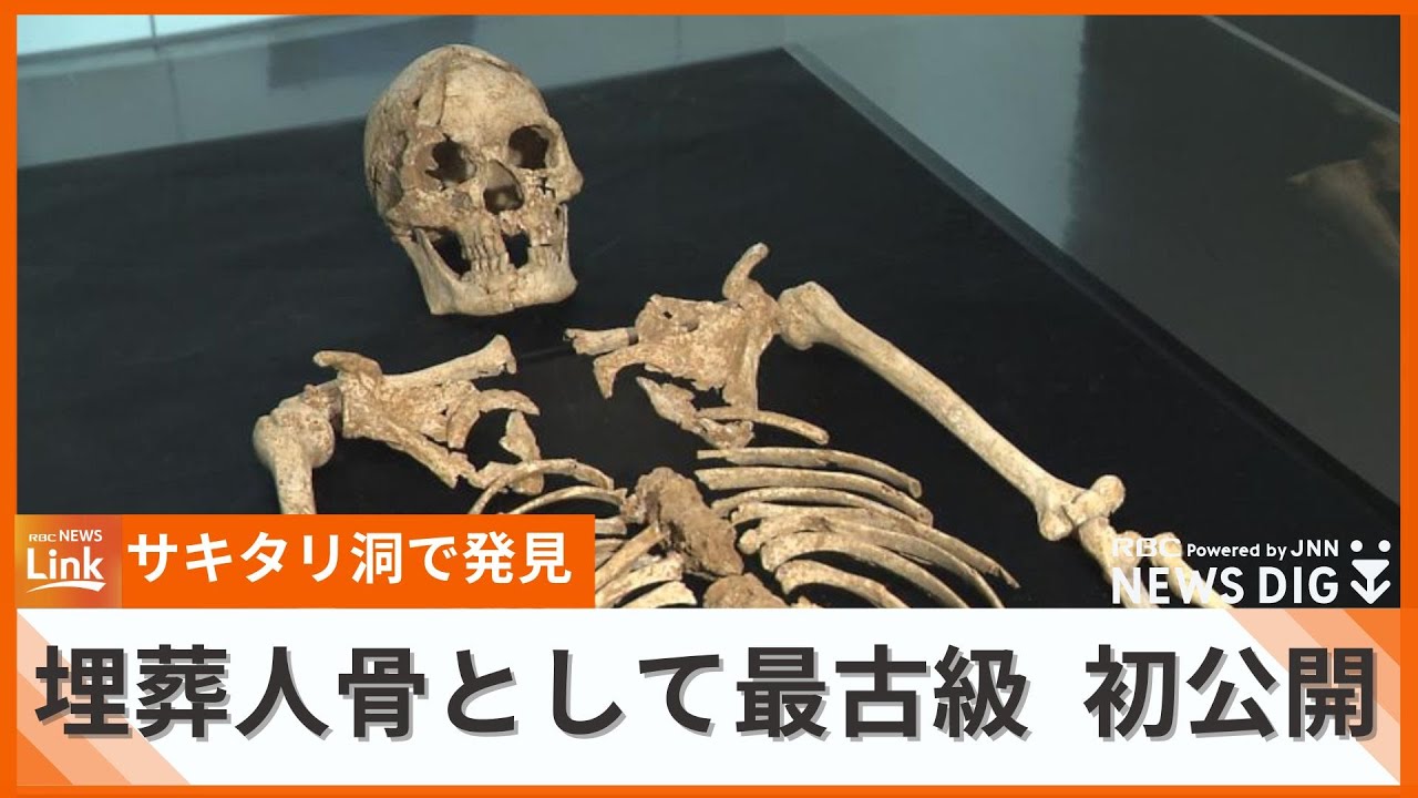 「腕の骨が長く、肩回りが頑丈」　国内最古級の埋葬人骨初公開　沖縄の旧石器時代の資料集めた展示会