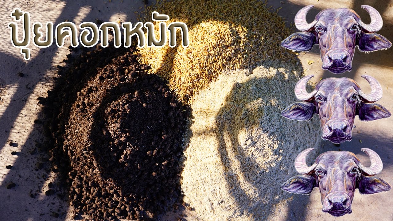 วิธีการทำปุ๋ยคอกหมัก (ขี้วัว ขี้ไก่ ขี้หมู)