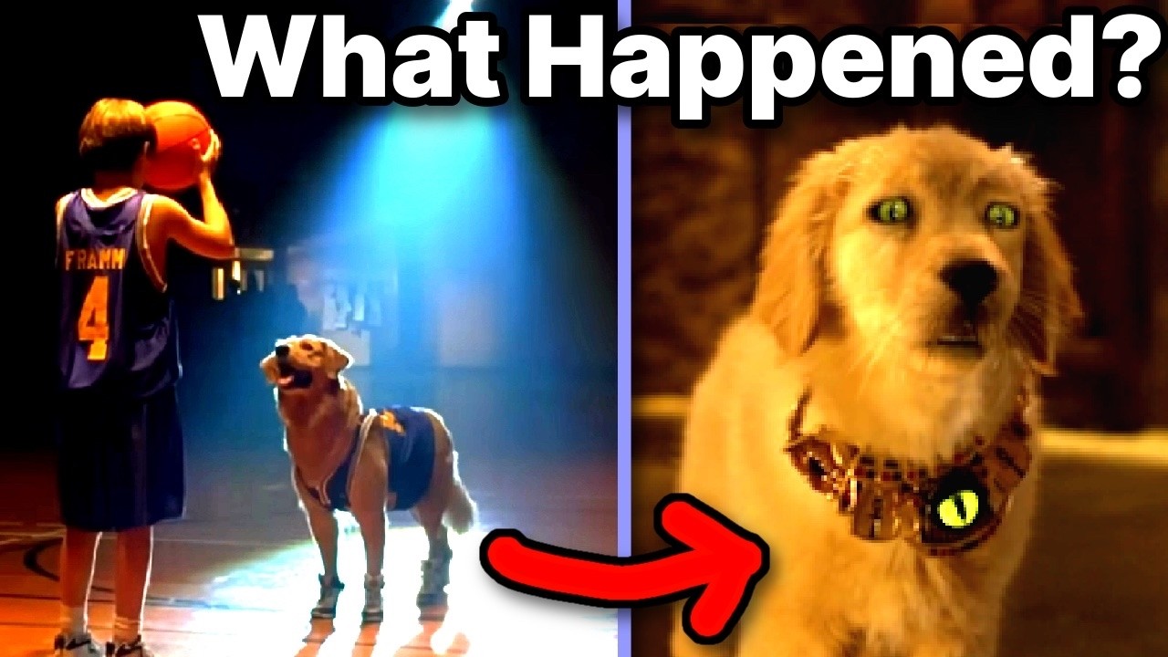 How Disney Degraded a Dead Dog's Legacy