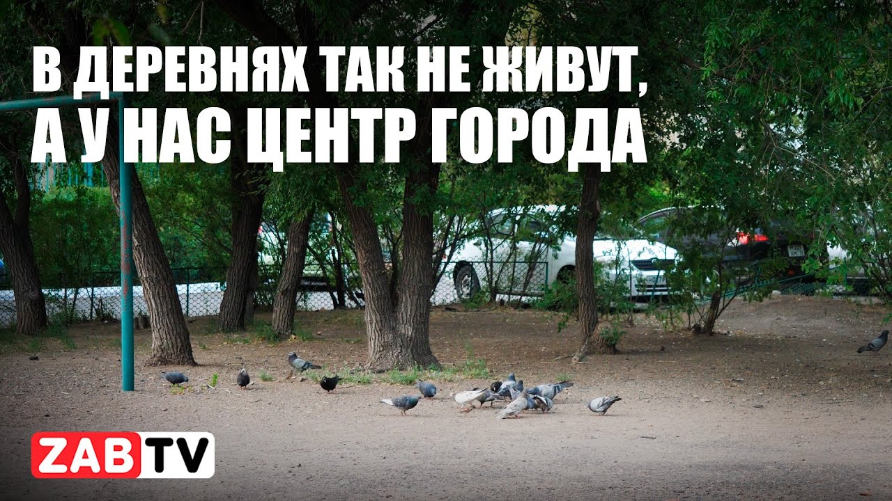 Центр Читы: шум, беспорядок и безразличие властей