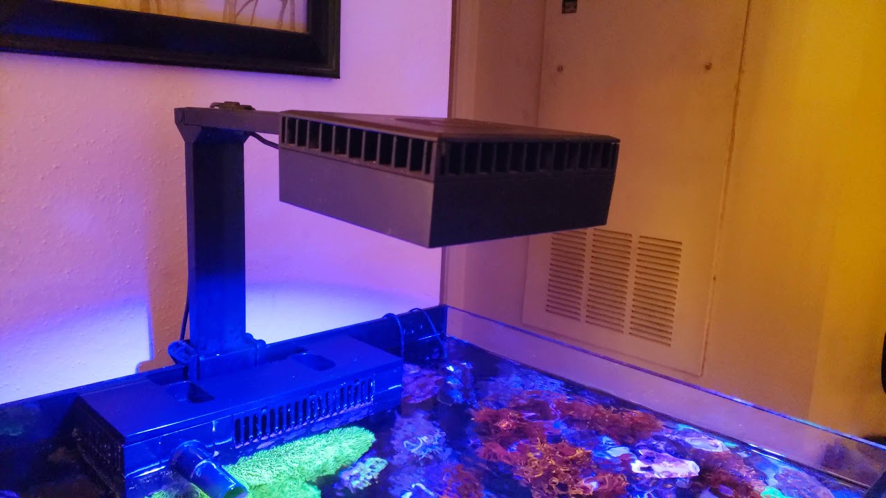 Red Sea Reefer 170 Review and Overview