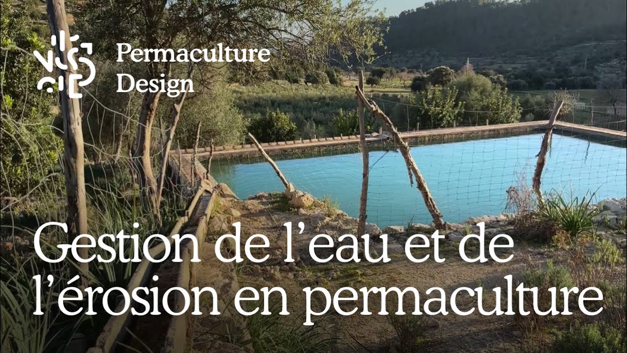 💧Gestion de l’eau et de l’érosion en permaculture