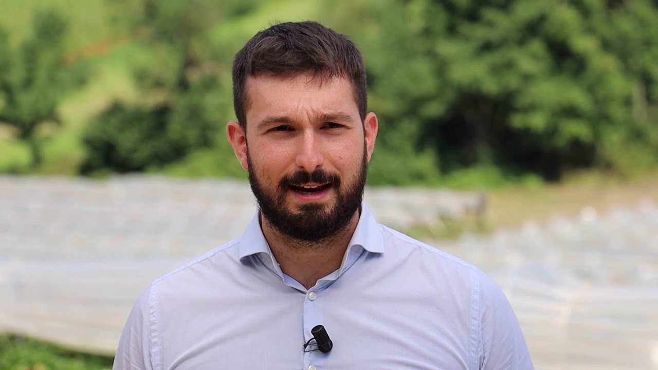 Coltivazione di fragole fuori suolo, l'esperienza dell'azienda Dario Gallo