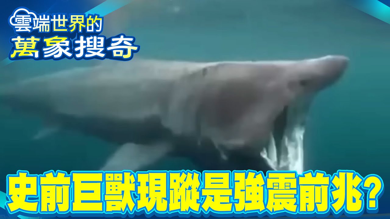 6m海底巨獸罕現蹤「強震前兆」？！ 西班牙地震魚跳上岸掀恐慌「網憶日本311強震」：福島海岸線也出現過！【57爆新聞 萬象搜奇】 @57BreakingNews