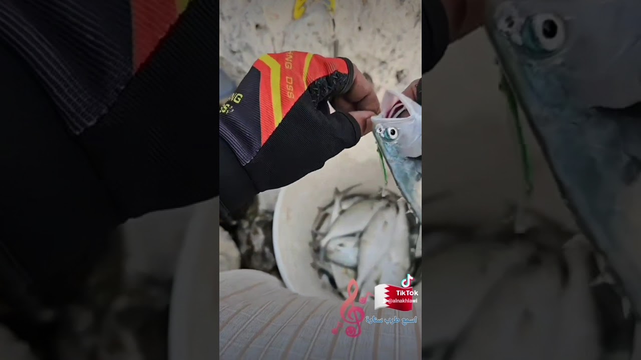 ٨ يناير ٢٠٢٦