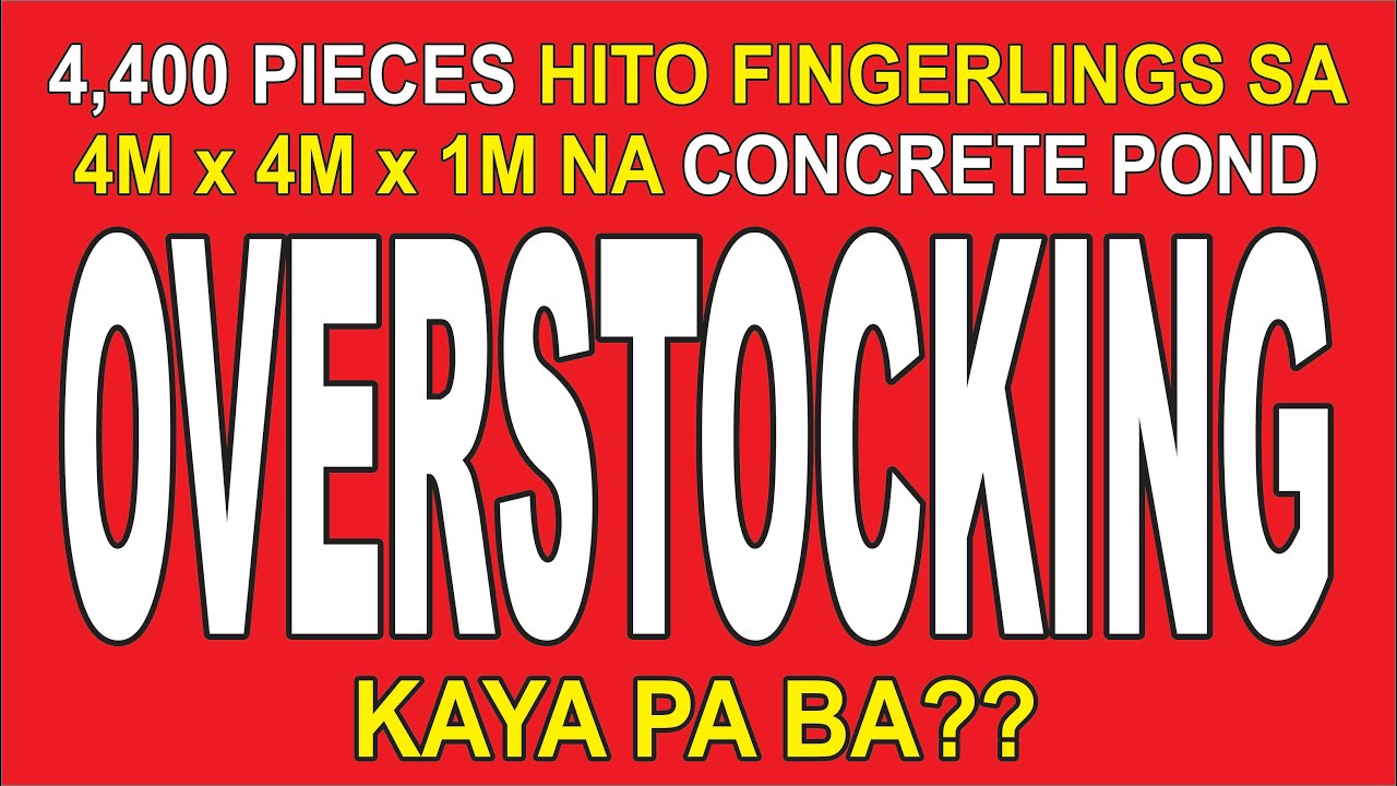 Ep. #8 - OVERSTOCKING: 4,400PCS NA 3