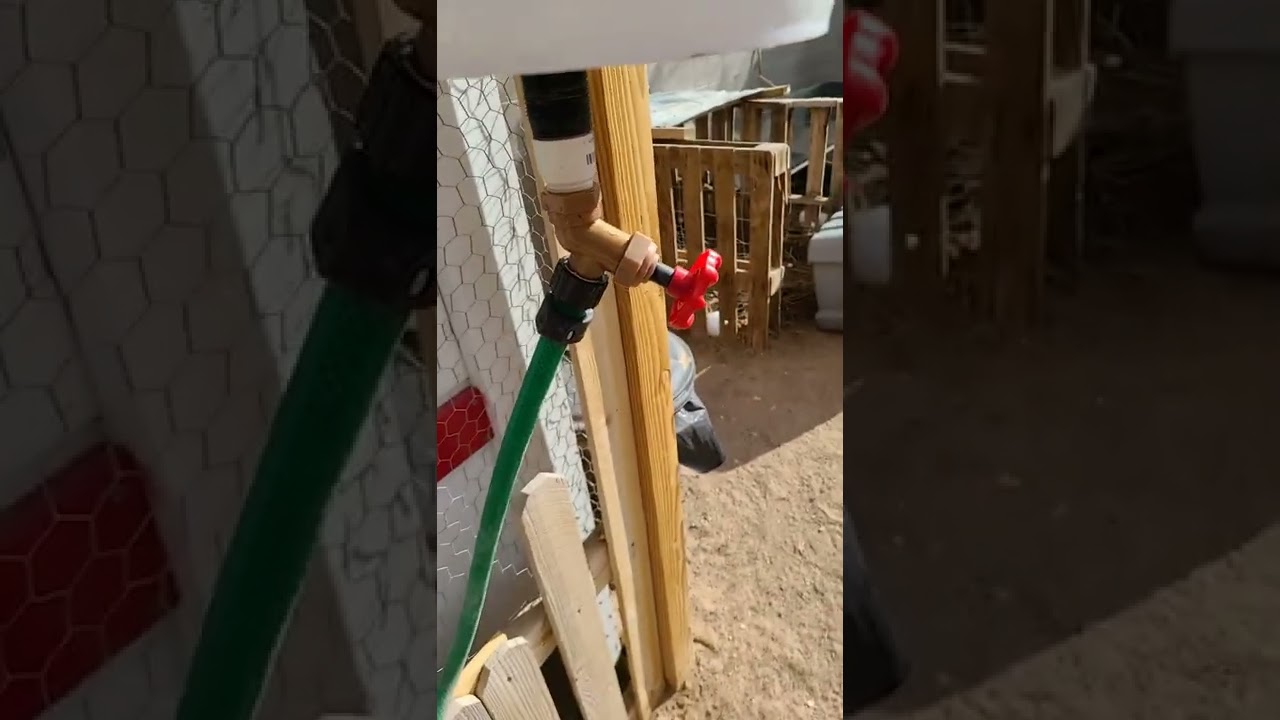 New Quail Watering System Test Run