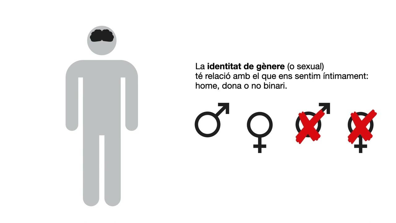 Gènere - Identitat de gènere - Expressió de Gènere - Orientació sexual - Sexe biològic