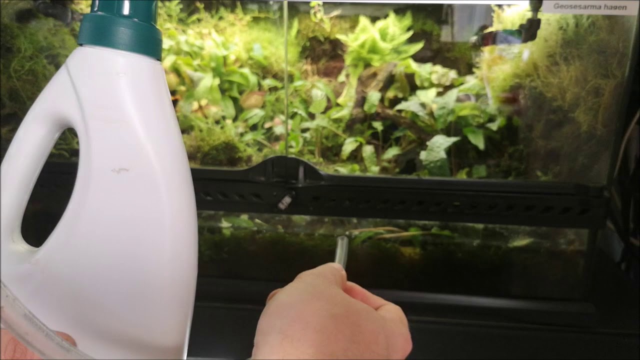 Brico : Système de purge pour terrarium BTS