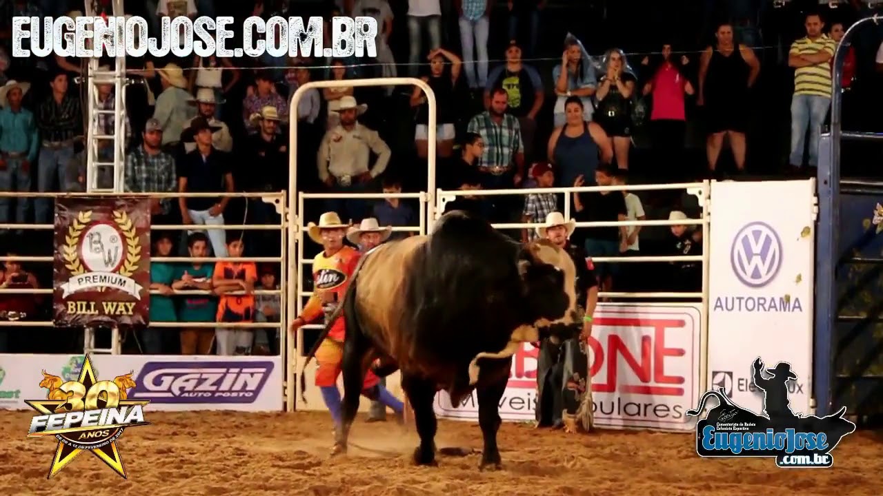 QUINTA-FEIRA | DOURADINA / FEPEINA 2017 (Todas as Montarias)