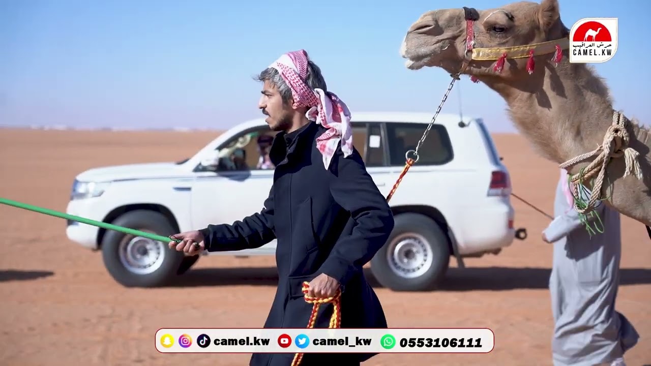 فرديات رجل الأعمال  ثامر فهد الزقعاني السهلي