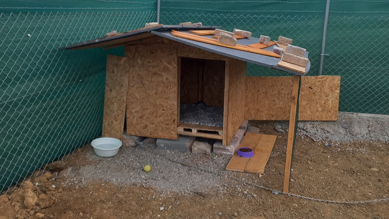 Köpek kulübesi yapımı🐶