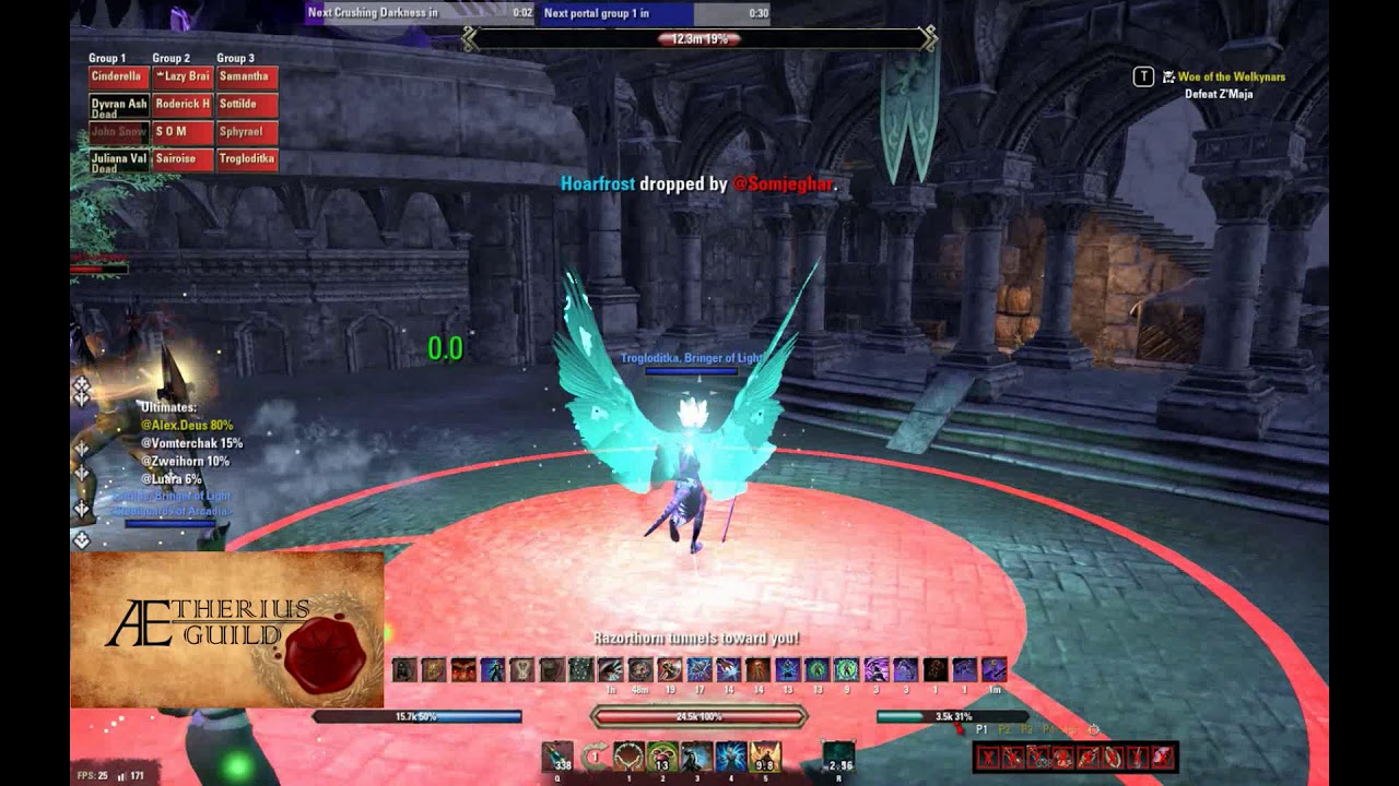 ESO-Aetherius-Raid Suicide Survivors-v.Cloudrest+3-Warden Healer/Kiter