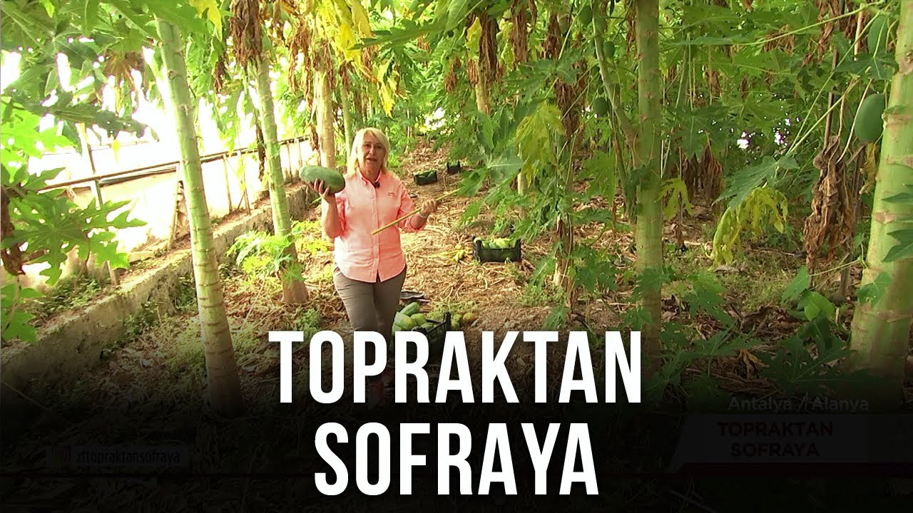 Topraktan Sofraya – Alanya | 15 Ocak