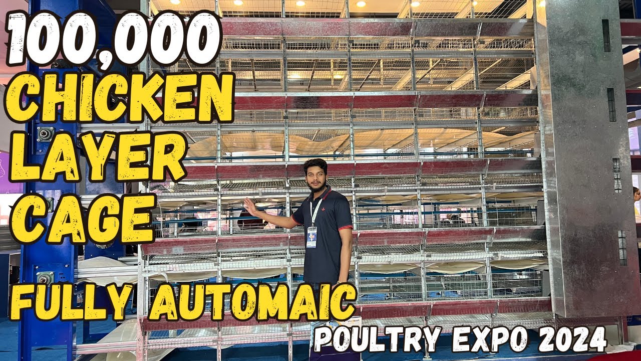 100,000 Layer Cage Fully automaic 🐥❤️| Poultry Expo Lahore 2024 (IPEX 2024)