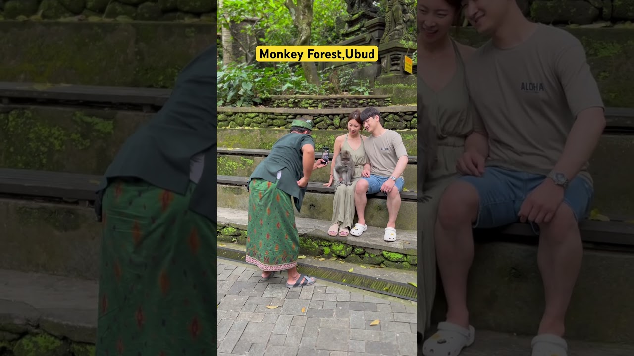 Monkey Forest,Ubud #monkey #monkeyfunny #monkeyforest #ubud #bali