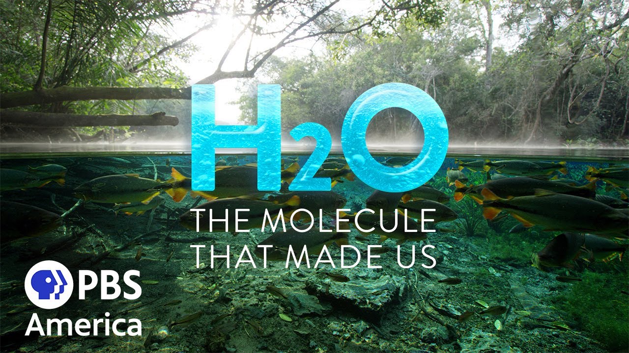 H2O: The Molecule That Made Us - Pulse (2020) | Full Documentary