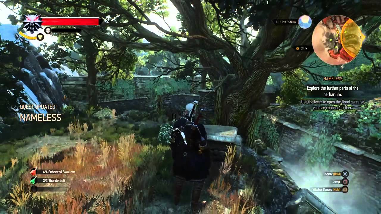 The Witcher 3:Nameless 
