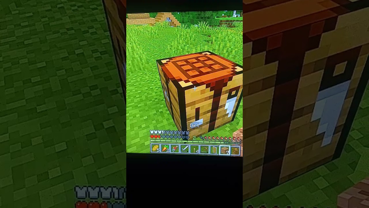 Playing Minecraft
