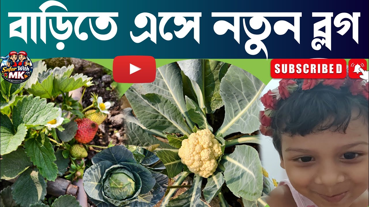 Home Gardening Bengali Blog | My New Vlog
