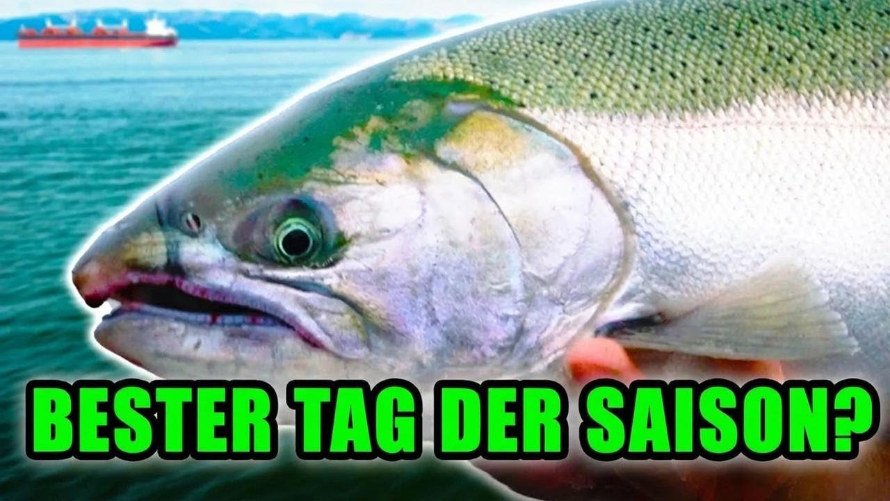Mein bester Tag beim Lachsangeln in dieser Saison!