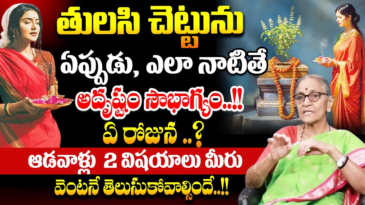 Tulasi Chettu Ekkada Pettali | Tulasi Plant Vastu Direction | Anantha Lakshmi Darmasandehalu#thulasi