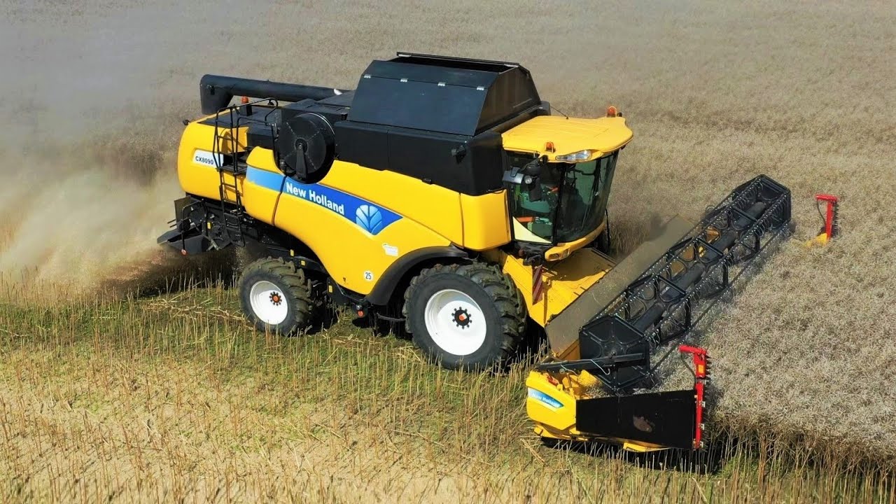 Rapsernte mit New Holland CX 8090 Mähdrescher Canola harvest - deutsche Landwirtschaft 2.0