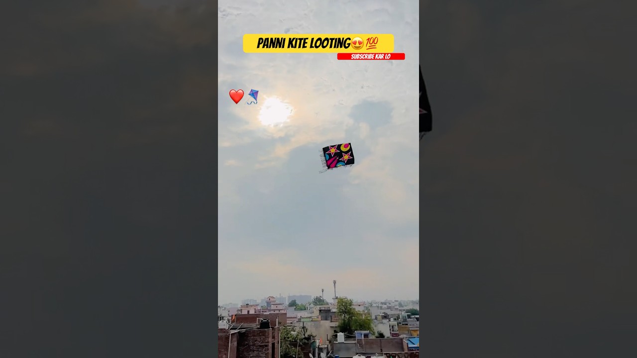 Viral Panni kite looting😍🔥💯#kitelooting #ytshorts #patangvlog #looting #subscribe