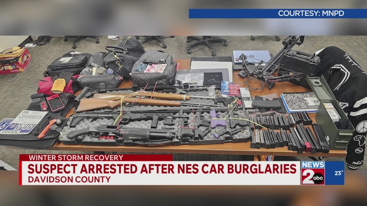 Suspect arrested after NES car burglaries
