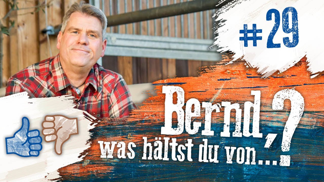 Bernd, was hältst du von...? #29 Stangengebisse, Satteltaschen & übertriebene Vorsicht