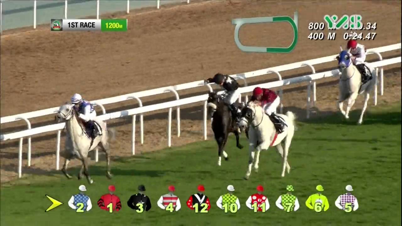 الشوط الأول - مضمار أبوظبي للخيول السريعة 14 فبراير 2016