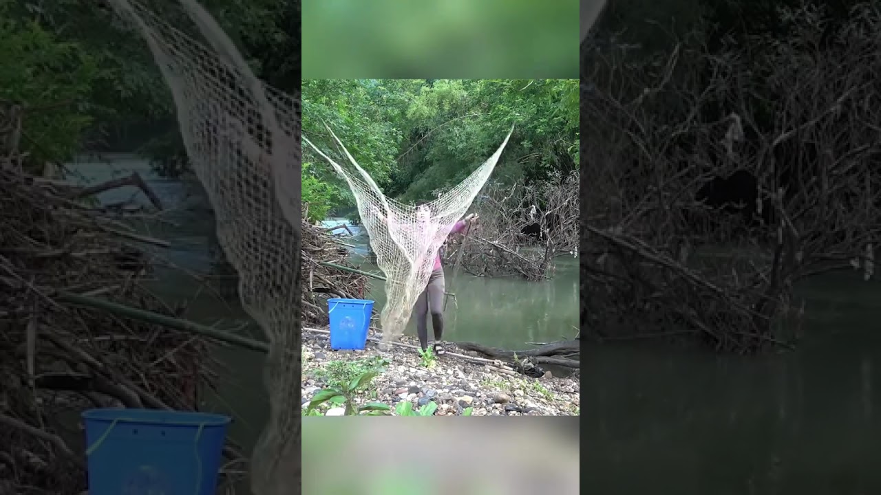 The Young Girl's Excellent Fishing Skills on The River and Lakes, Catching a Lots of Fish 