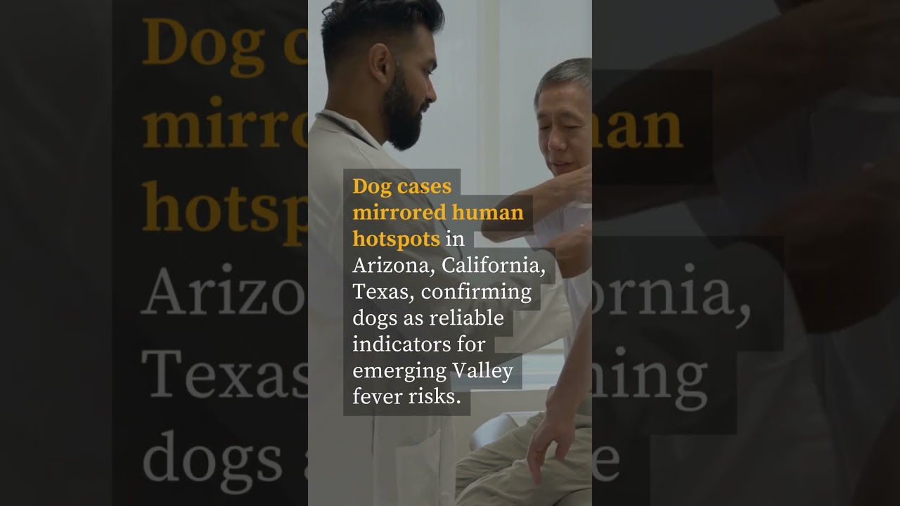 #Dogs could help predict #ValleyFever spread in humans