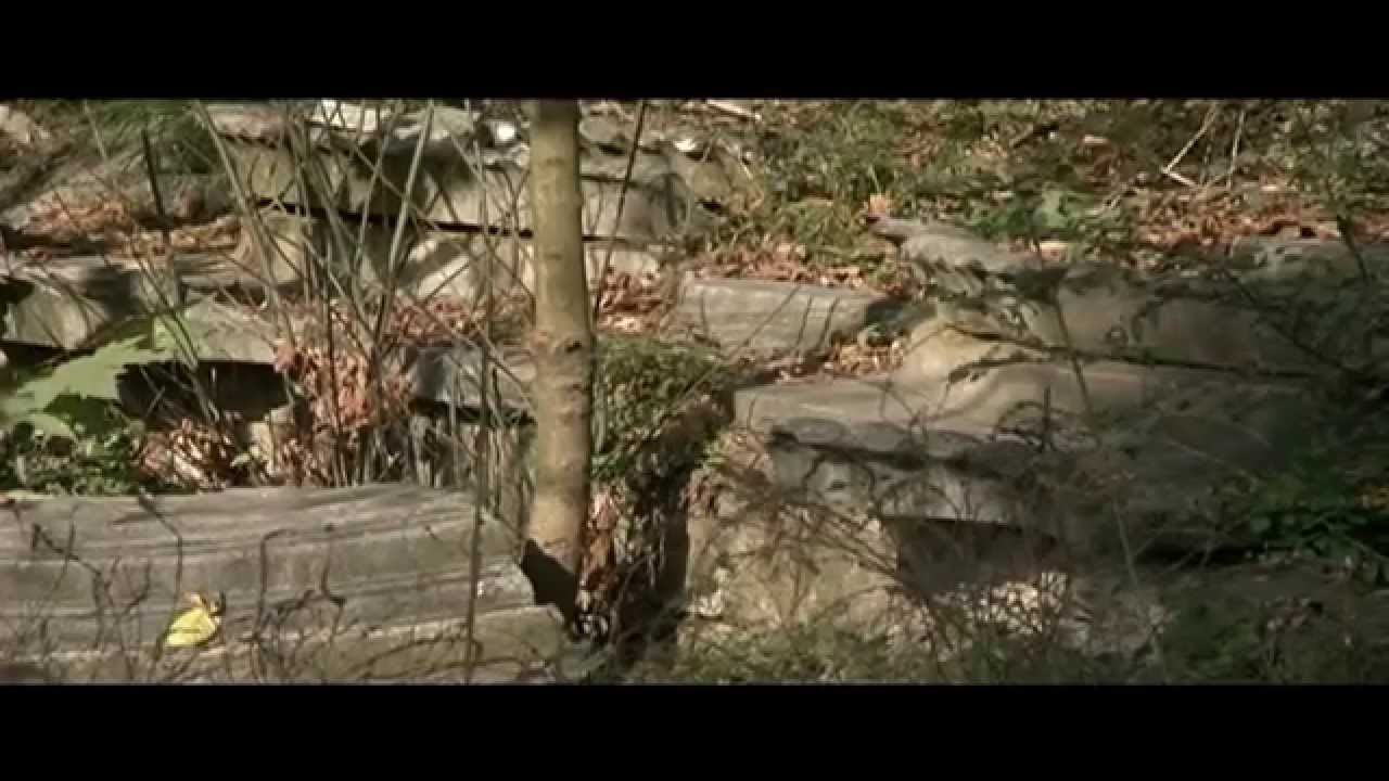 KAĞITHANE BELGESELİ